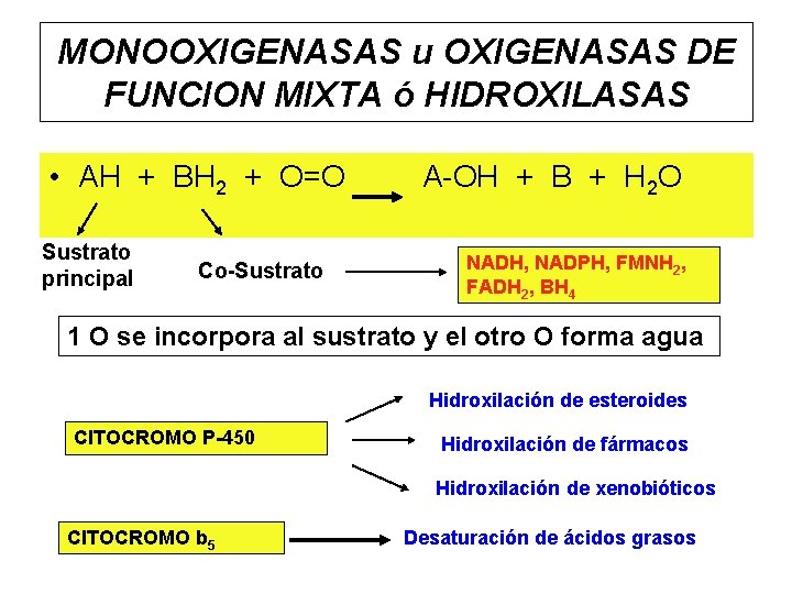 MONOOXIGENASAS u OXIGENASAS DE FUNCION MIXTA ó HIDROXILASAS • AH + BH 2 +