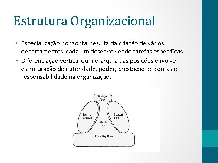 Estrutura Organizacional • Especialização horizontal resulta da criação de vários departamentos, cada um desenvolvendo