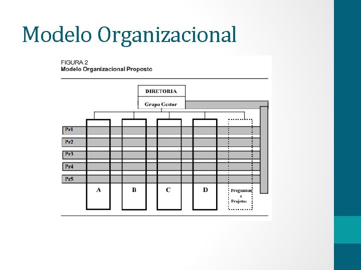 Modelo Organizacional 