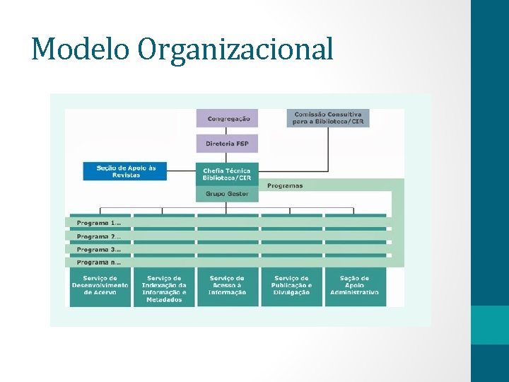 Modelo Organizacional 