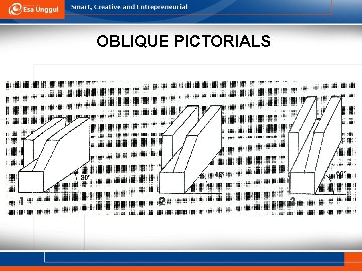 OBLIQUE PICTORIALS 