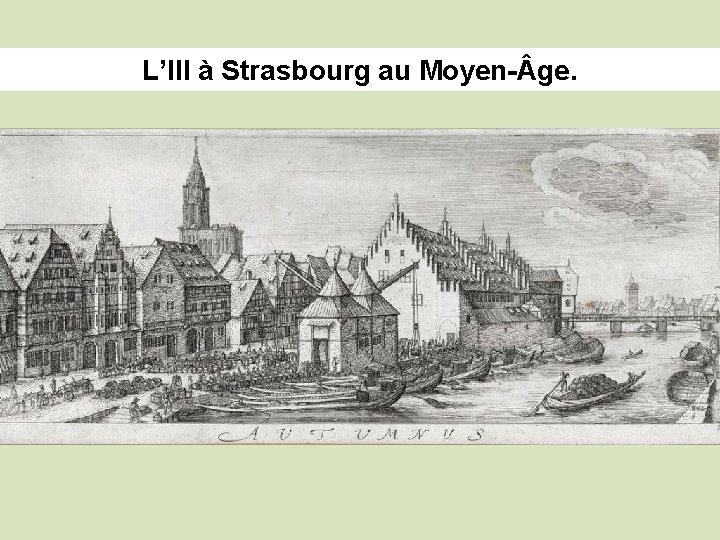 L’Ill à Strasbourg au Moyen- ge. 