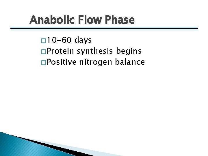 Anabolic Flow Phase � 10 -60 days � Protein synthesis begins � Positive nitrogen