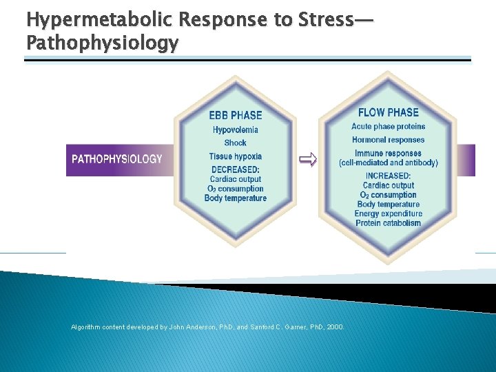 Hypermetabolic Response to Stress— Pathophysiology Algorithm content developed by John Anderson, Ph. D, and