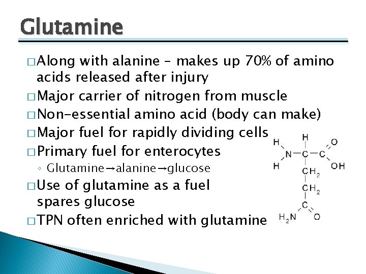 Glutamine � Along with alanine – makes up 70% of amino acids released after