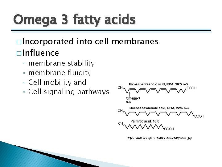 Omega 3 fatty acids � Incorporated � Influence ◦ ◦ into cell membranes membrane