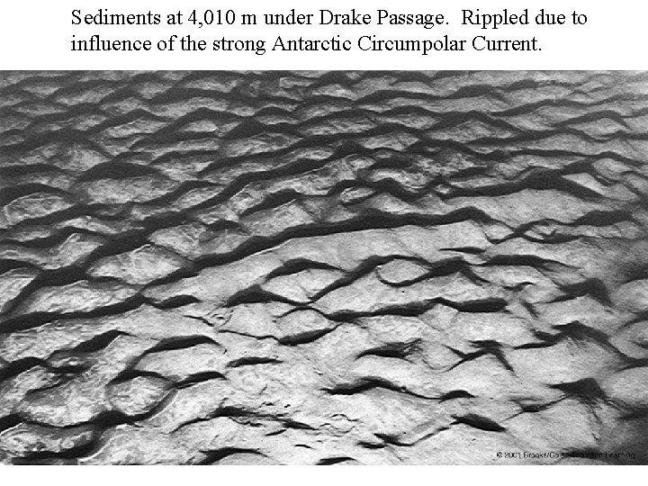 Sediments at 4, 010 m under Drake Passage. Rippled due to influence of the