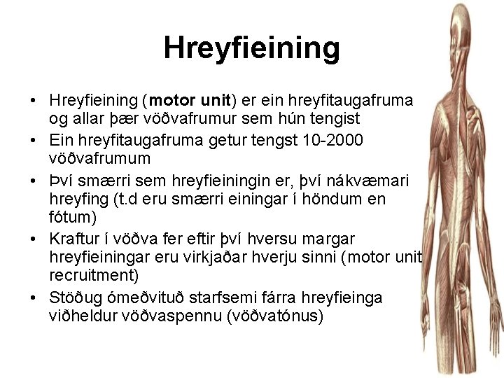 Hreyfieining • Hreyfieining (motor unit) er ein hreyfitaugafruma og allar þær vöðvafrumur sem hún