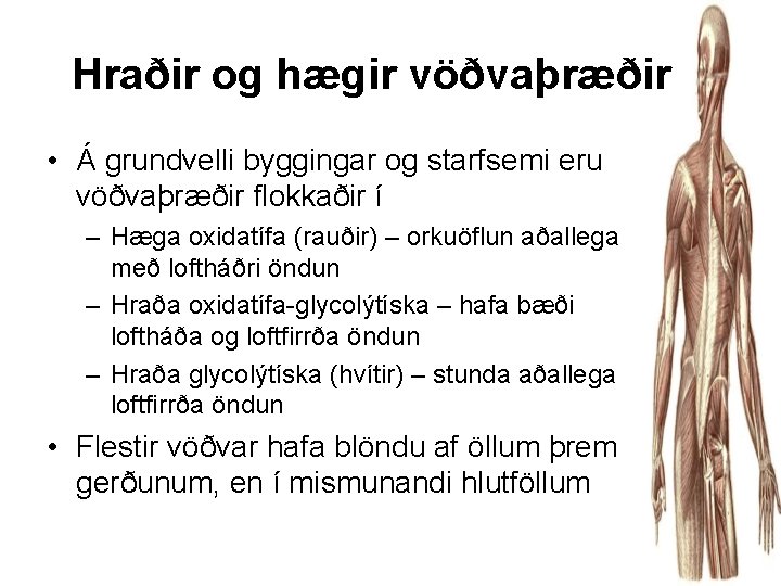 Hraðir og hægir vöðvaþræðir • Á grundvelli byggingar og starfsemi eru vöðvaþræðir flokkaðir í