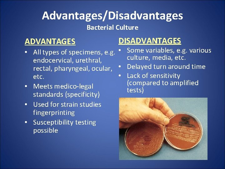 Advantages/Disadvantages Bacterial Culture ADVANTAGES DISADVANTAGES • All types of specimens, e. g. • Some