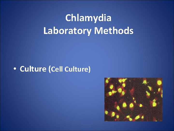 Chlamydia Laboratory Methods • Culture (Cell Culture) 