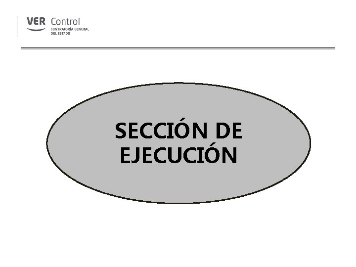 SECCIÓN DE EJECUCIÓN 