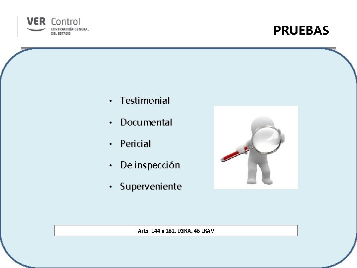 PRUEBAS • Testimonial • Documental • Pericial • De inspección • Superveniente Arts. 144