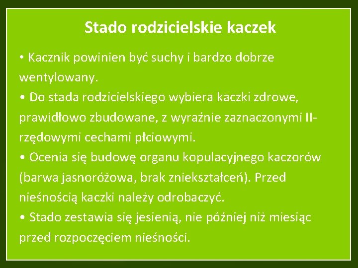 Stado rodzicielskie kaczek • Kacznik powinien być suchy i bardzo dobrze wentylowany. • Do