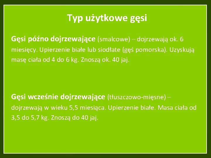 Typ użytkowe gęsi Gęsi późno dojrzewające (smalcowe) – dojrzewają ok. 6 miesięcy. Upierzenie białe