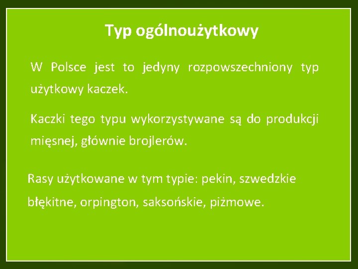 Typ ogólnoużytkowy W Polsce jest to jedyny rozpowszechniony typ użytkowy kaczek. Kaczki tego typu