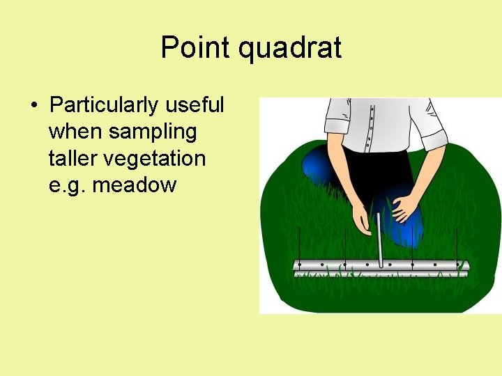 Point quadrat • Particularly useful when sampling taller vegetation e. g. meadow Point quadrat • Particularly useful when sampling taller vegetation e. g. meadow