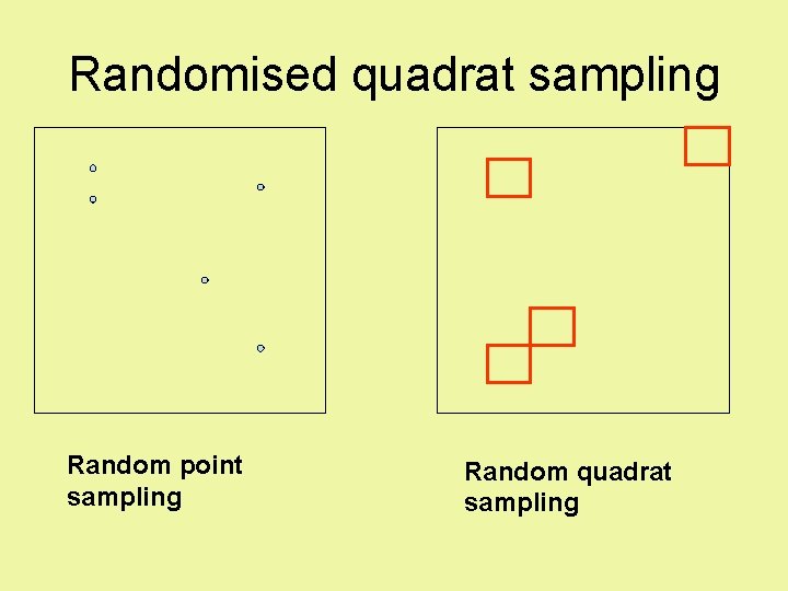 Randomised quadrat sampling Random point sampling Random quadrat sampling 