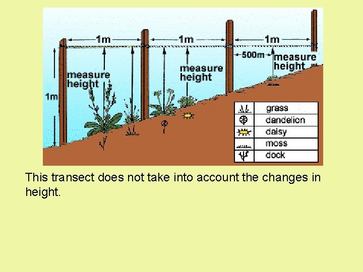 Transect This transect does not take into account the changes in height. Transect This transect does not take into account the changes in height.