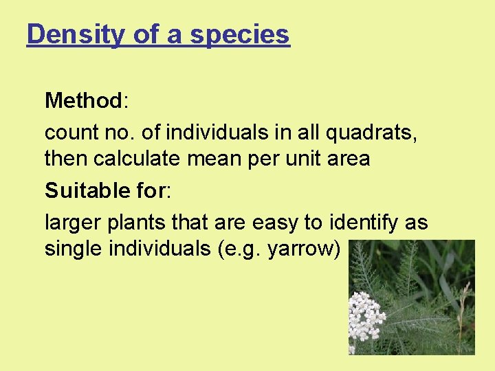 Density of a species Method: count no. of individuals in all quadrats, then calculate Density of a species Method: count no. of individuals in all quadrats, then calculate