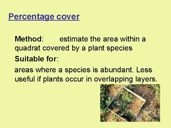 Percentage cover Method: estimate the area within a quadrat covered by a plant species Percentage cover Method: estimate the area within a quadrat covered by a plant species
