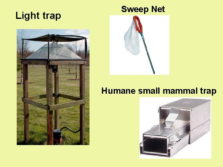 Light trap Sweep Net Humane small mammal trap 