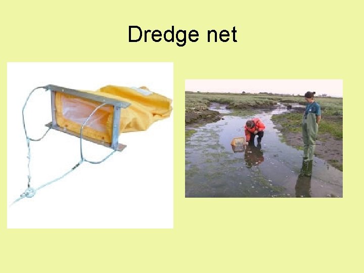 Dredge net Dredge net