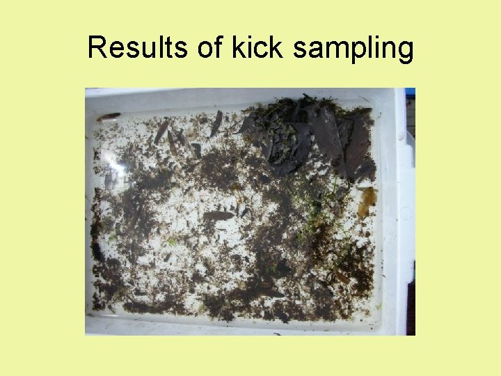 Results of kick sampling Results of kick sampling