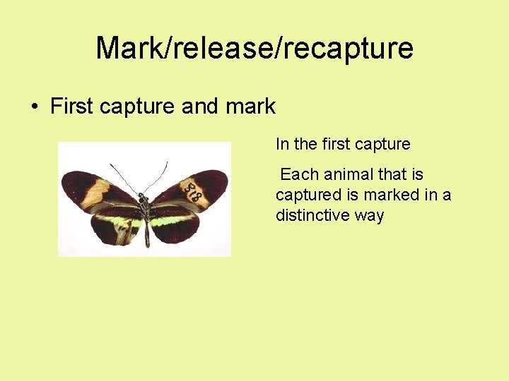 Mark/release/recapture • First capture and mark In the first capture Each animal that is Mark/release/recapture • First capture and mark In the first capture Each animal that is