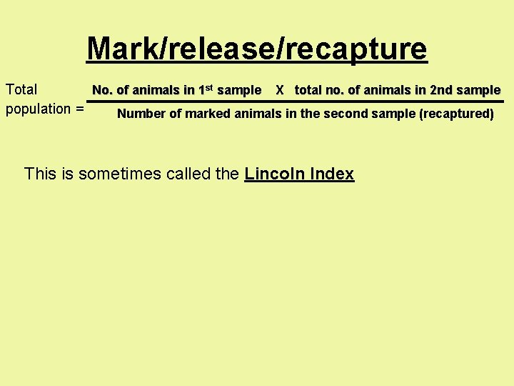 Mark/release/recapture Total No. of animals in 1 st sample X total no. of animals