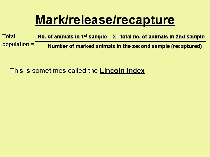 Mark/release/recapture Total No. of animals in 1 st sample X total no. of animals Mark/release/recapture Total No. of animals in 1 st sample X total no. of animals