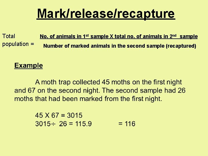Mark/release/recapture Total population = No. of animals in 1 st sample X total no. Mark/release/recapture Total population = No. of animals in 1 st sample X total no.