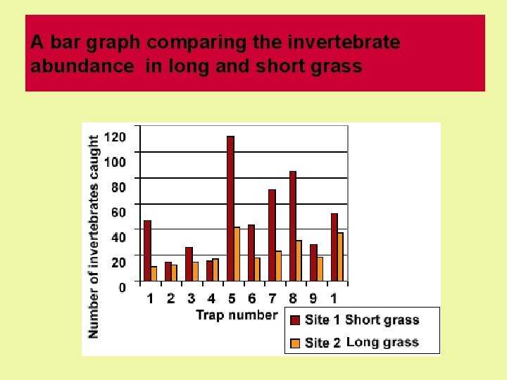 A bar graph comparing the invertebrate abundance in long and short grass A bar graph comparing the invertebrate abundance in long and short grass