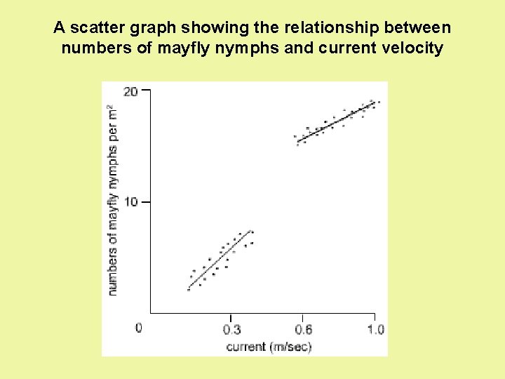 A scatter graph showing the relationship between numbers of mayfly nymphs and current velocity A scatter graph showing the relationship between numbers of mayfly nymphs and current velocity