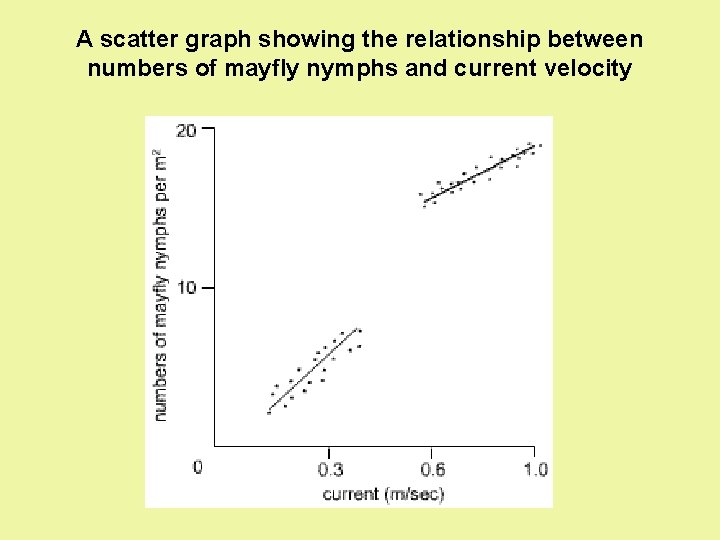 A scatter graph showing the relationship between numbers of mayfly nymphs and current velocity