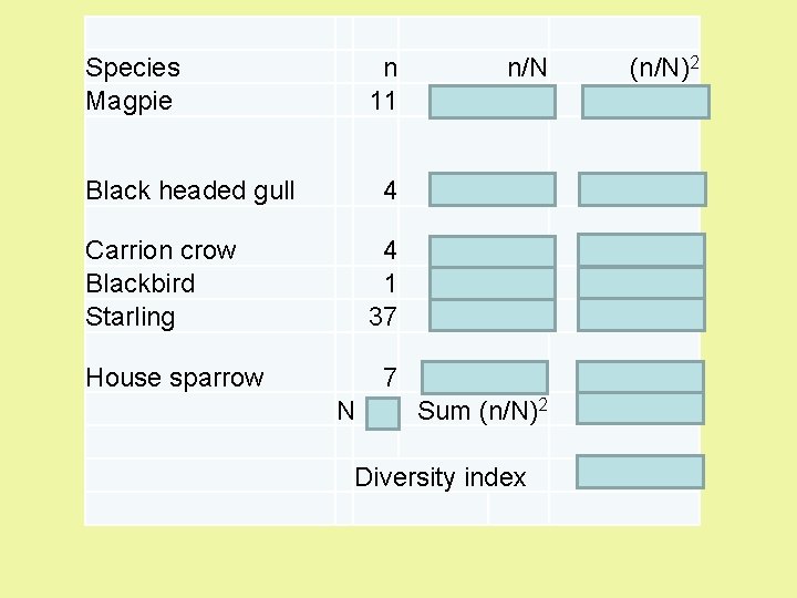 Species Magpie n 11 n/N 0. 171875 (n/N)2 0. 029541 Black headed gull 4