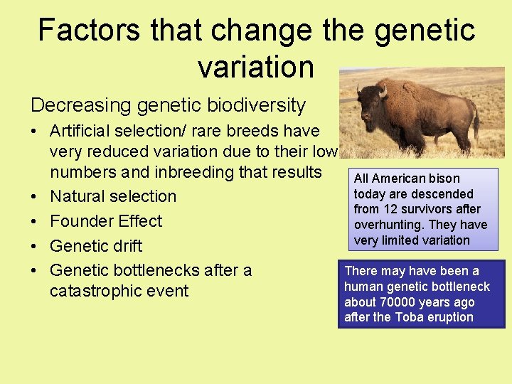 Factors that change the genetic variation Decreasing genetic biodiversity • Artificial selection/ rare breeds Factors that change the genetic variation Decreasing genetic biodiversity • Artificial selection/ rare breeds