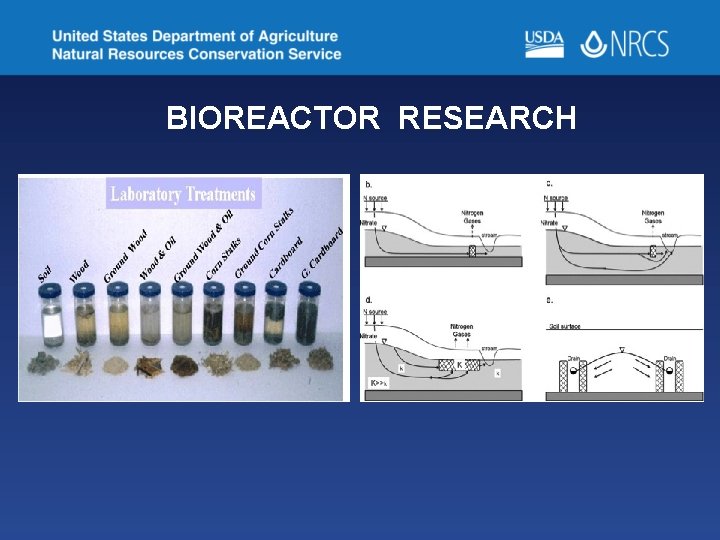 BIOREACTOR RESEARCH 