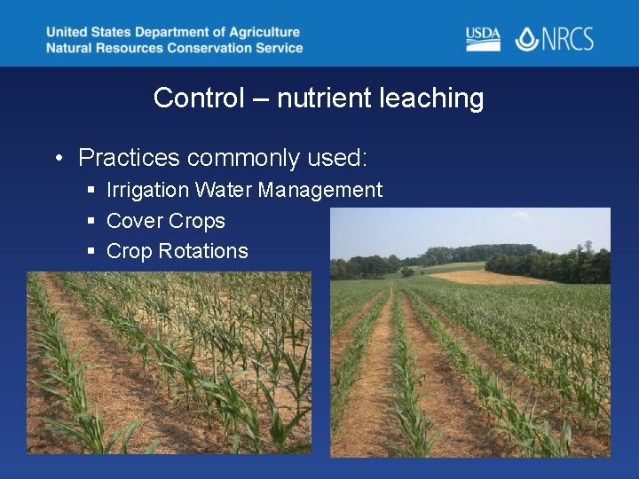 Control – nutrient leaching • Practices commonly used: § Irrigation Water Management § Cover