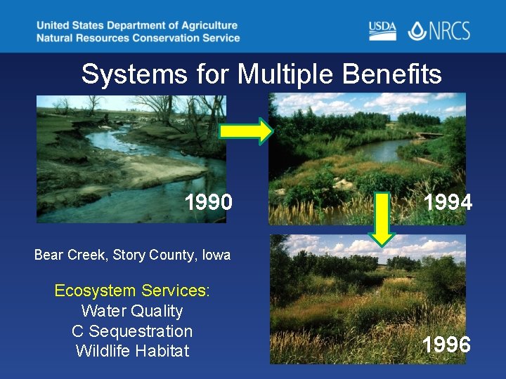 Systems for Multiple Benefits 1990 1994 Bear Creek, Story County, Iowa Ecosystem Services: Water