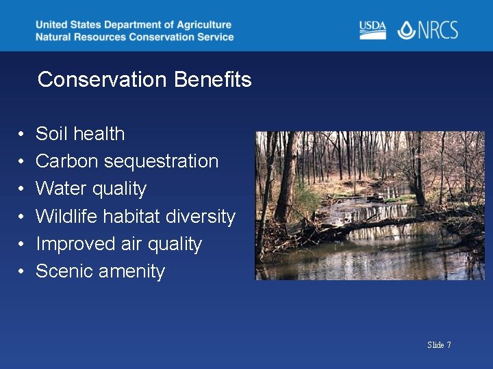 Conservation Benefits • • • Soil health Carbon sequestration Water quality Wildlife habitat diversity