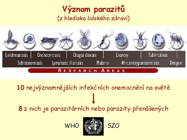 Význam parazitů (z hlediska lidského zdraví) 10 nejvýznamnějších infekčních onemocnění na světě 8 z