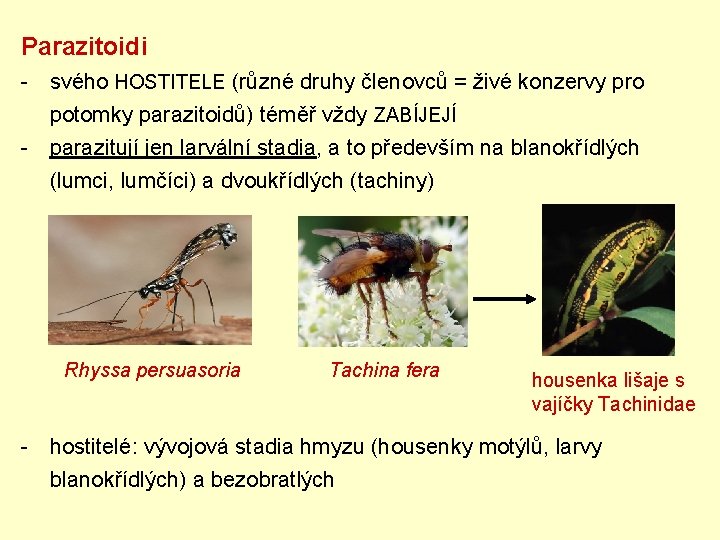 Parazitoidi - svého HOSTITELE (různé druhy členovců = živé konzervy pro potomky parazitoidů) téměř