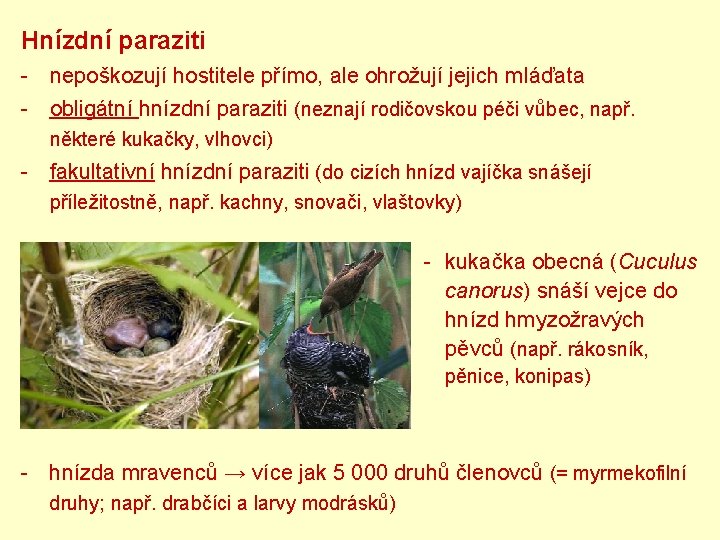 Hnízdní paraziti - nepoškozují hostitele přímo, ale ohrožují jejich mláďata - obligátní hnízdní paraziti