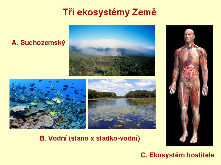 Tři ekosystémy Země A. Suchozemský B. Vodní (slano x sladko-vodní) C. Ekosystém hostitele 