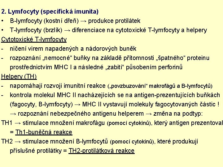 2. Lymfocyty (specifická imunita) • B-lymfocyty (kostní dřeň) → produkce protilátek • T-lymfocyty (brzlík)