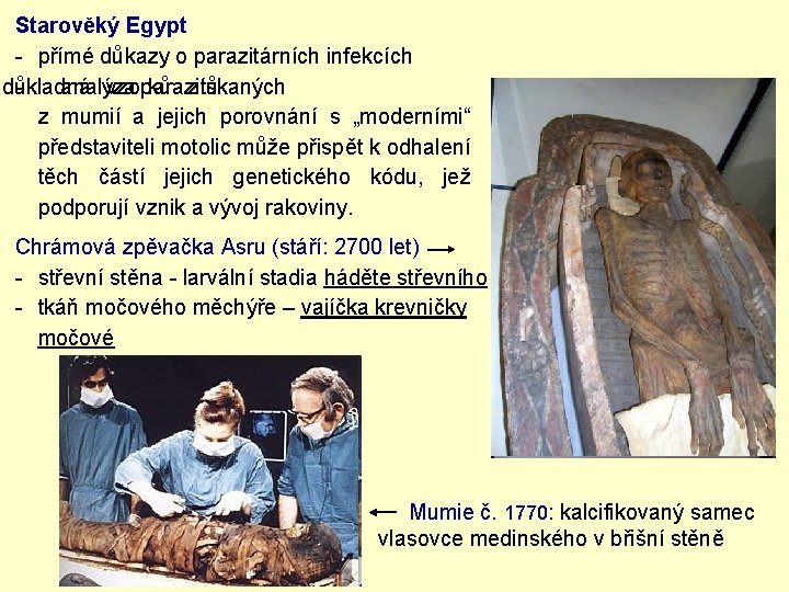 Starověký Egypt - přímé důkazy o parazitárních infekcích důkladná - analýza vzorků parazitů získaných