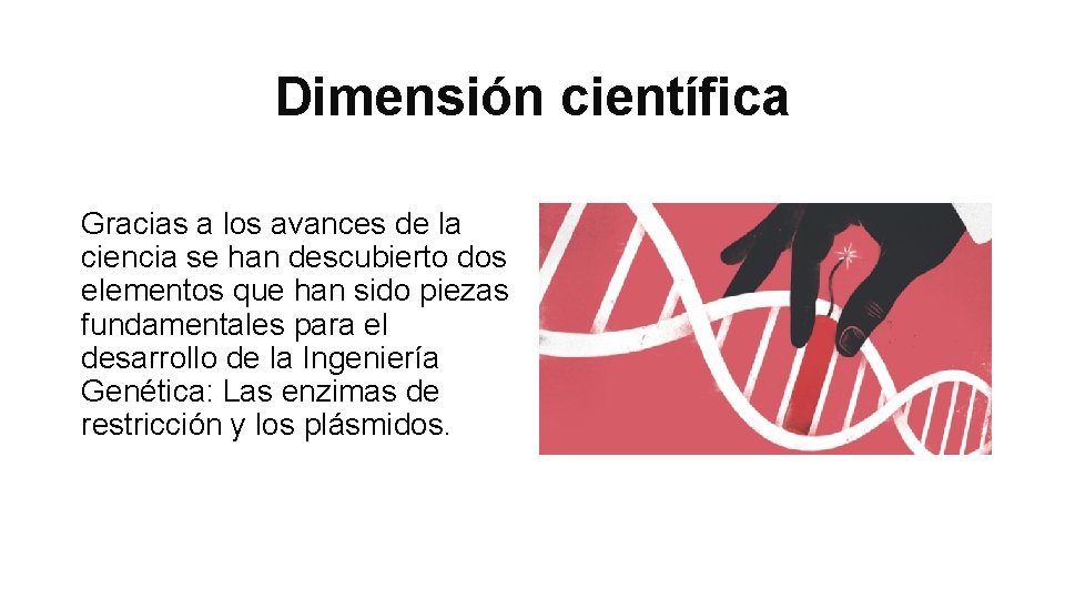 Dimensión científica Gracias a los avances de la ciencia se han descubierto dos elementos