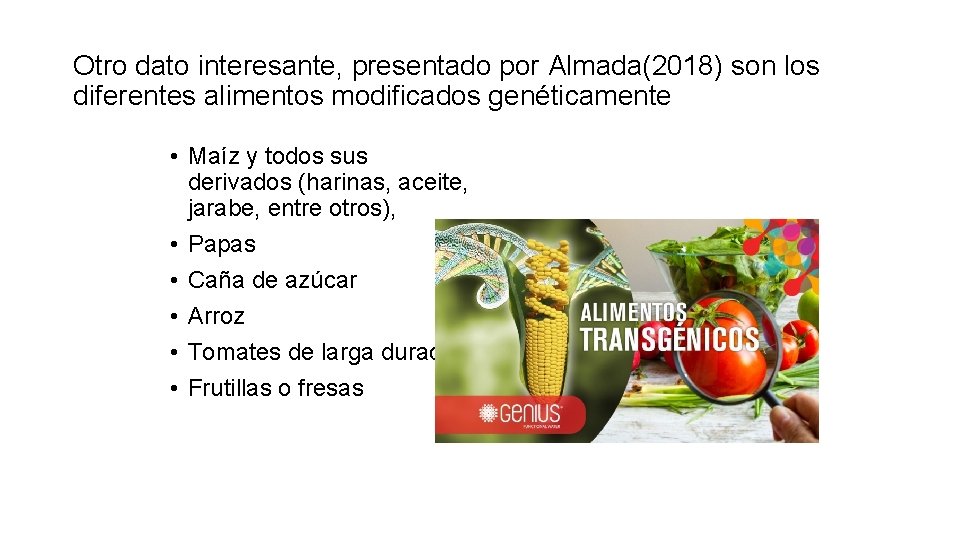 Otro dato interesante, presentado por Almada(2018) son los diferentes alimentos modificados genéticamente • Maíz