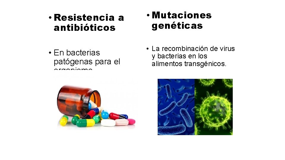  • Resistencia a antibióticos • Mutaciones genéticas • En bacterias patógenas para el